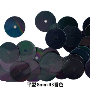 XpR[ w^ 8mm CH 43ԐFx