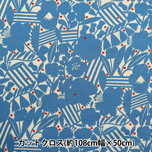 n wkippis (LbsX) IbNX JbgNX 108×50cm K[fp[eB[ u[ KPOK-82Bx