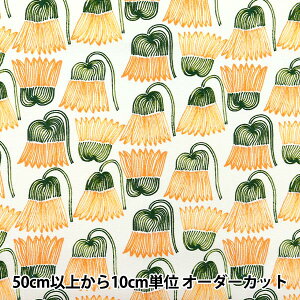 y5z n wkippis (LbsX) IbNX ԒB̂₫ Li KPO-77Ax