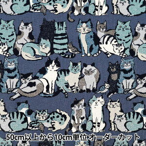 y5z n wȖLoX Art CAT lCr[ YGA-86020-1Ex KOKKA RbJ