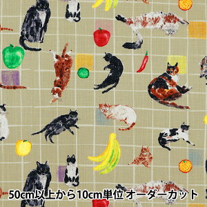 y5z n wPaper message [[NX Lƃe[ut[c x[W EGXA-8003-1Bx KOKKA RbJ