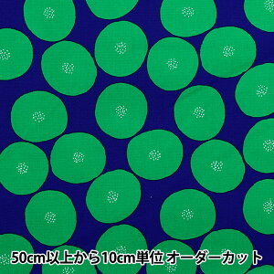 y5z n wMUDDY WORKS(}fB[NX) I[KjbNIbNX ς lCr[×O[ EKX-1160-Cx KOKKA RbJ