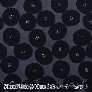 y5z n wMUDDY WORKS(}fB[NX) I[KjbNIbNX ς ubN EKX-1160-Dx KOKKA RbJ