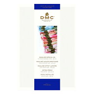 刺しゅう糸 『DMC 25番刺繍糸見本帳 W100B』 DMC ディーエムシー