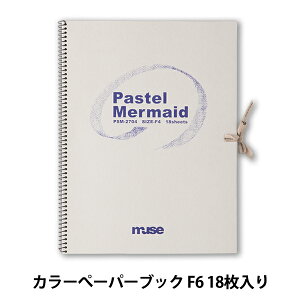 p wJ[؁[p[ubN PSM-2706x