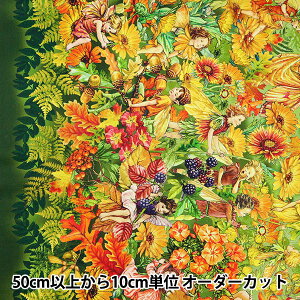�y����5����z ���n �wUSA�R�b�g�� �t�����[�t�F�A���[�Y �{�[�_�[�� DDC1527-SAGE�x