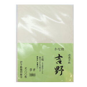 p wg  100x