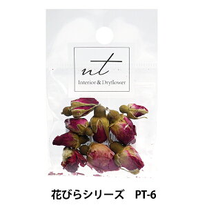 Wޗ w܃hCt[ Ԃт PT-6x nt GkeB[