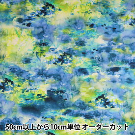【数量5から】 生地 『yui by Ayano ichiyanagi calm インクジェット 綿麻コンパス EGXA-6404-1A』 KOKKA コッカ