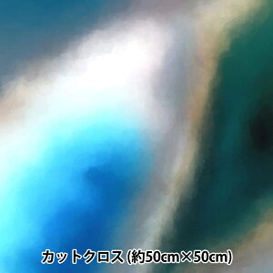 n wRIEKA Of[Vpbg 50×50cm 1164-023x