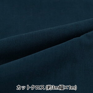 ���n �w3m���̃R�b�g�����n �J�b�g�N���X ��300cm×100cm �l�C�r�[ C-CPL3M-NV�x