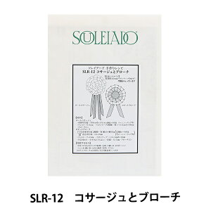 ^ w\CA[h背Vs RT[Wƃu[` SLR-12x