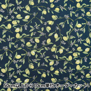 y5z n wV[`O }t lCr[ KTS6951SE-NVx COTTON KOBAYASHI Rbg΂₵ ё@