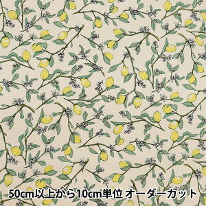 y5z n wV[`O }t ItzCg KTS6951SE-OWx COTTON KOBAYASHI Rbg΂₵ ё@