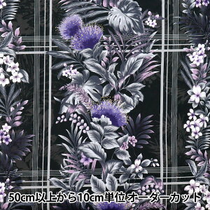 y5z nwV[eBO AChX^C LV[} ||G ubN 02541-3BKx