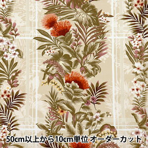y5z nwV[eBO AChX^C LV[} ||G x[W 02541-4BEx