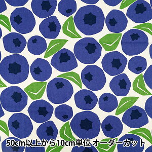 y5z n w̕z IbNX u[x[ Li×u[ ACS1143-Ax COTTON KOBAYASHI Rbg΂₵ ё@