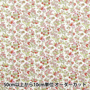 y5z n woeBEt@ubNX ^i[ iV[YEI[`[h DC30715-J25Ax Liberty Japan oeBWp