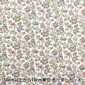 y5z n woeBEt@ubNX ^i[ iV[YEI[`[h DC30715-J25Dx Liberty Japan oeBWp