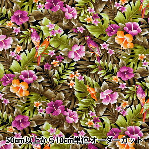 y5z n wu[h nCAvg Xeƒ uE 281-C-BRx