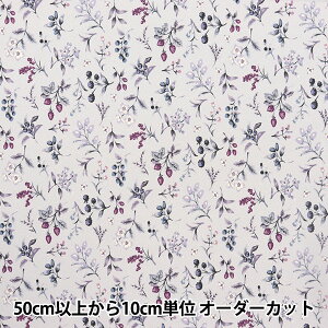 y5z n w͂|GXe x[K[f p[v HP-BEG-PPx