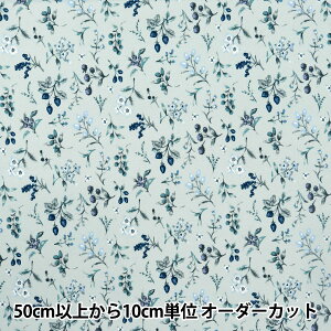 y5z n w͂|GXe x[K[f u[O[ HP-BEG-BLGRx