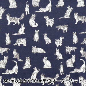 y5z n woeBEt@ubNX 60/2V ~IE DC32576-VKx Liberty Japan oeBWp