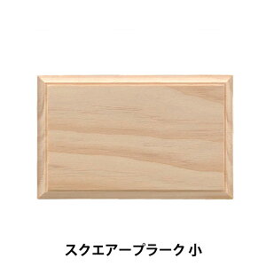 g[yCgޗ wXNGA[v[N  SK-01282x