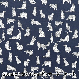 y5z n woeBEt@ubNX ^i[ ~IE DC32576-VEx Liberty Japan oeBWp