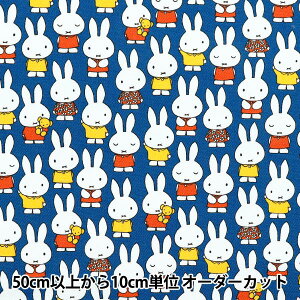 y5z n wTCcC ~btB[ lCr[ G-2027-1Ax KOKKA RbJ