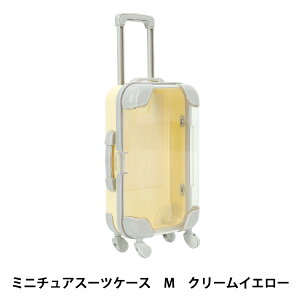 ߋ w~j`AX[cP[X MTCY N[CG[ MSC-M-CYEx