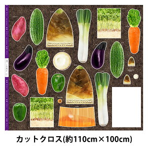 n wS ̂ plvg JbgNX 110cm×100cm C-TAKENOKOx