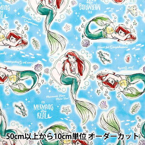 y5z n wIbNX gE}[Ch AG GR-1136-1Ax KOKKA RbJ