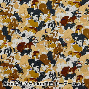 y5z n wIbNX Aj}  AP45806-1Ax