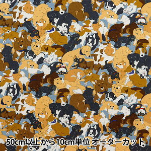 y5z n wIbNX Aj}  AP45806-1Cx