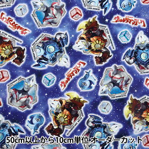 y5z n wIbNX Eg}A[N u[ GIJ-5144-1Ax KOKKA RbJ