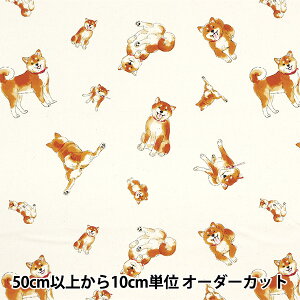 y5z n wIbNX Č Li AP42109-2Ax