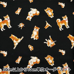 y5z n wIbNX Č ubN AP42109-2Ex