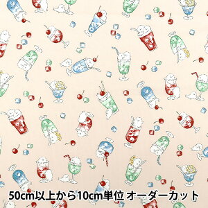 �y����5����z ���n �wNOVA �V�[�`���O �V�[�\�[�_ �i�`������ NSE-SODA-NA�x KOKKA �R�b�J
