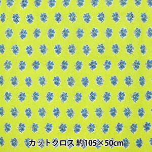 n w~G[ V[eBO 䕿~l[gJbgNX 108cm×50cm CG[ C-RYUZ-812-1xYUWA L֏X