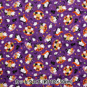 n wV[eBO nEBvg JbgNX 110cm×50cm p[v C-AP45101-1Bx
