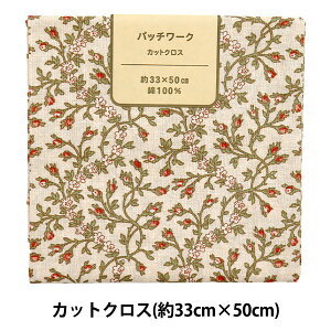 n wpb`[N JbgNX 33cm×50cm GN x[W C-DG10653S-Fx
