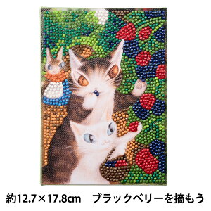 �r�[�Y�L�b�g �w�_�C�������h�t�B�b�N�X �L�̃_���� �u���b�N�x���[��E���� DF2L-WF001�x ��������