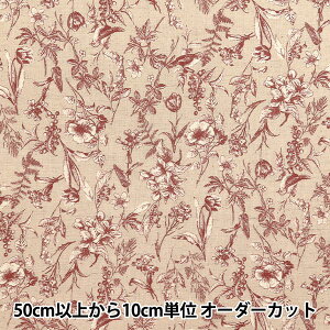 y5z n wȖV[`O i`K[f bh YGA-81070-2Cx KOKKA RbJ