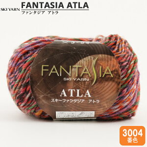 H~ю wFANTASIA ATLA (t@^WAAg) 3004ԐFx SKIYARN XL[[