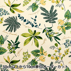 y5z n wIbNX nEXvc AC{[×O[ SC10672S-Ax