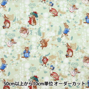 y5z n wIbNX s[^[rbg NVbNK[f O[ PRO-10Bx