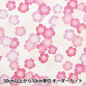 y5z n wVʈz V[eBO  sN YUZ-910-1x