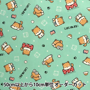 y5z n wIbNX SH΂ʂ܂ O[ 771096-GOx