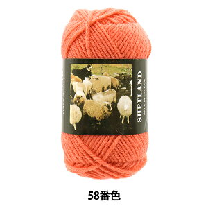 H~ю wSHETLAND (VFbgh) 58ԐFx Puppy ps[